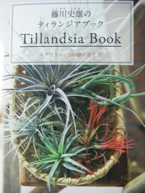 Tillandsia Book